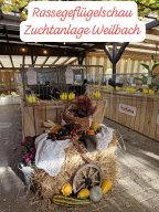lokalschau2026 1